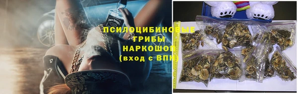 сатива Кулебаки