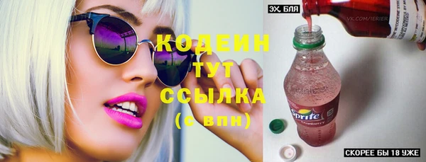 сатива Кулебаки