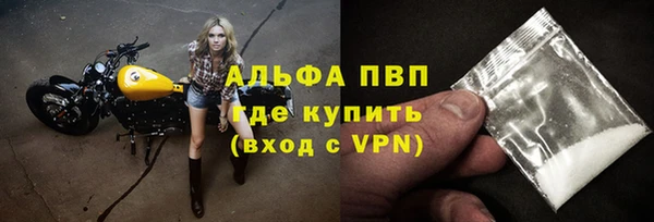 сатива Кулебаки