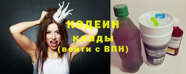 сатива Кулебаки