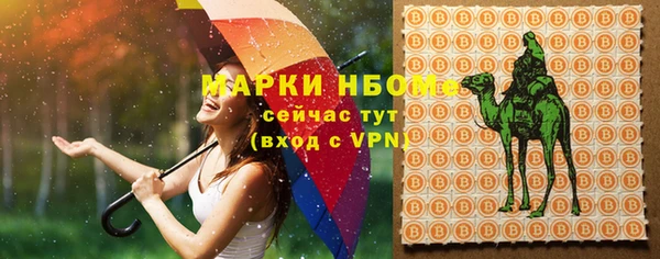 эйфоретик Кукмор
