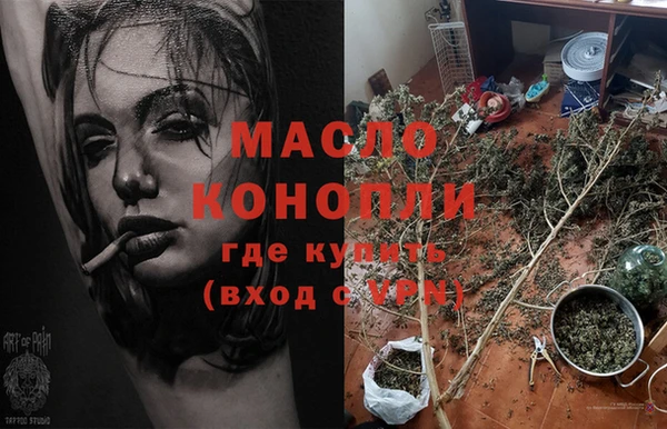 сатива Кулебаки