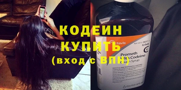сатива Кулебаки