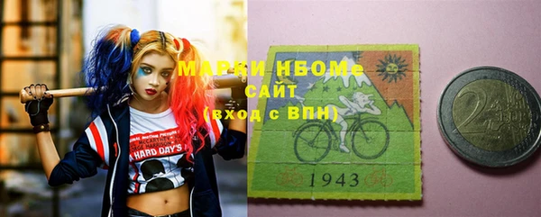 сатива Кулебаки