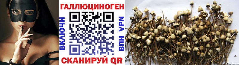 Псилоцибиновые грибы Magic Shrooms Купить где Батайск